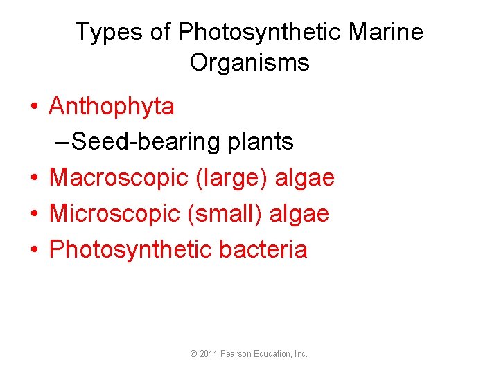 Types of Photosynthetic Marine Organisms • Anthophyta – Seed-bearing plants • Macroscopic (large) algae