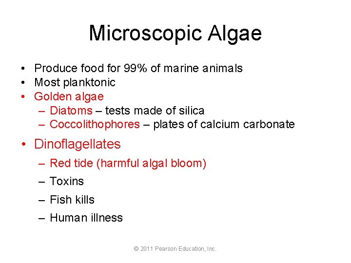 Microscopic Algae • Produce food for 99% of marine animals • Most planktonic •