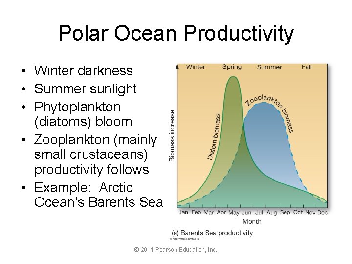 Polar Ocean Productivity • Winter darkness • Summer sunlight • Phytoplankton (diatoms) bloom •