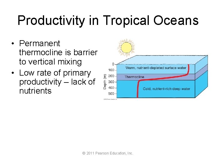 Productivity in Tropical Oceans • Permanent thermocline is barrier to vertical mixing • Low