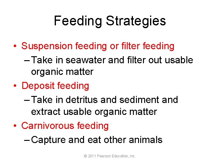 Feeding Strategies • Suspension feeding or filter feeding – Take in seawater and filter