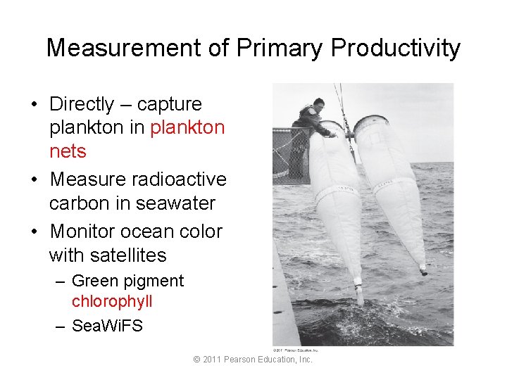 Measurement of Primary Productivity • Directly – capture plankton in plankton nets • Measure