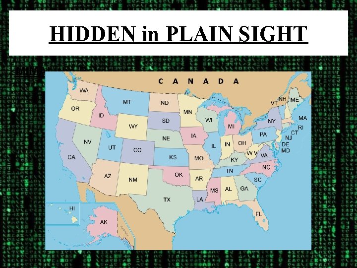 HIDDEN in PLAIN SIGHT MIMAL the Baker 