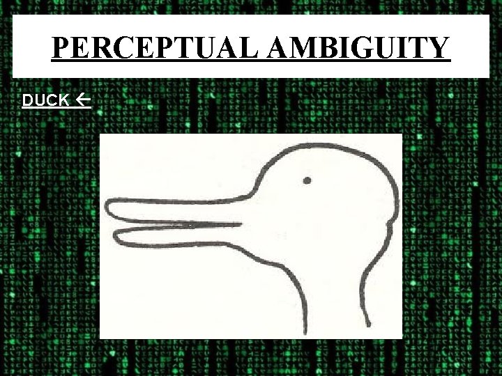 PERCEPTUAL AMBIGUITY DUCK 