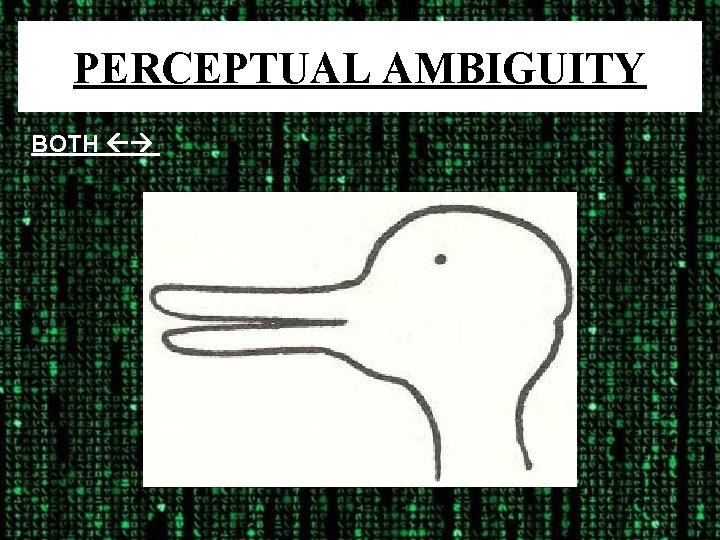 PERCEPTUAL AMBIGUITY BOTH 