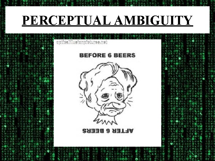 PERCEPTUAL AMBIGUITY 