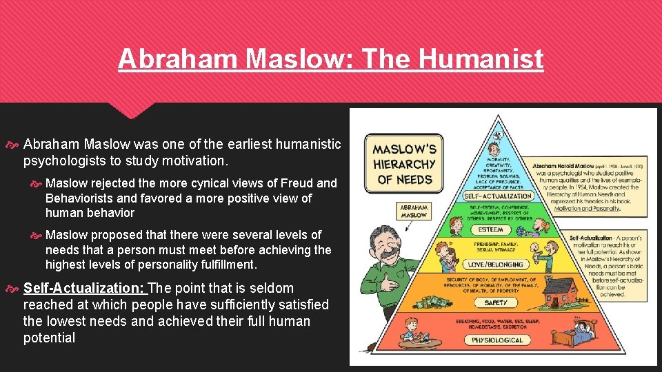 Abraham Maslow: The Humanist Abraham Maslow was one of the earliest humanistic psychologists to