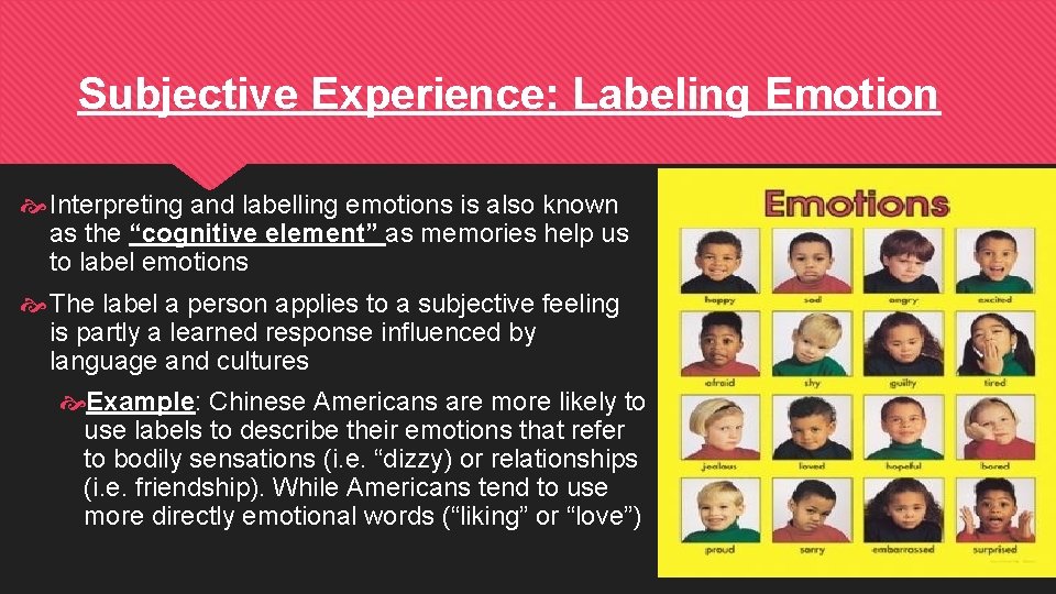 Subjective Experience: Labeling Emotion Interpreting and labelling emotions is also known as the “cognitive