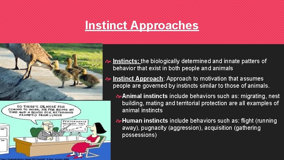 Instinct Approaches Instincts: the biologically determined and innate patters of behavior that exist in