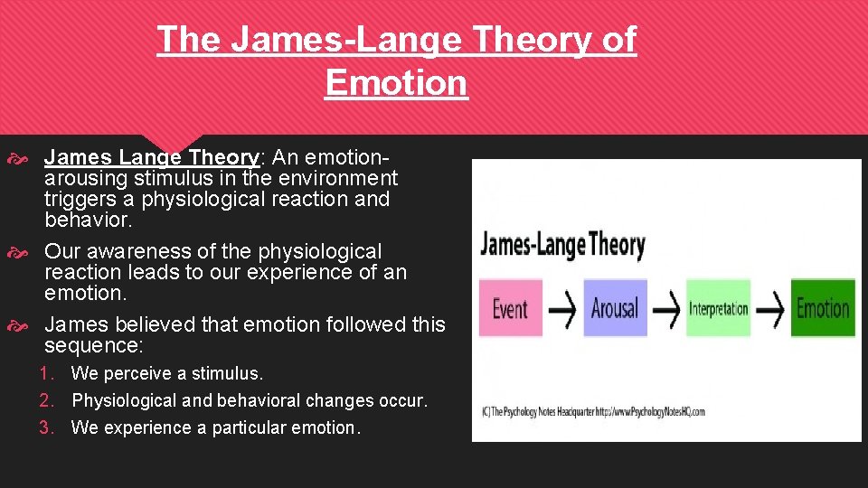 The James-Lange Theory of Emotion James Lange Theory: An emotionarousing stimulus in the environment