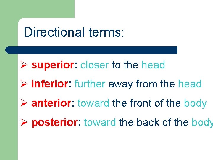 Directional terms: Ø superior: closer to the head Ø inferior: further away from the