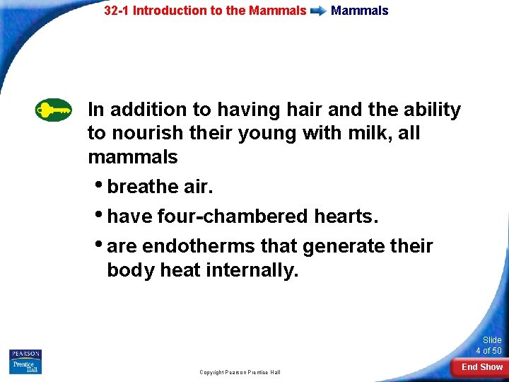 32 -1 Introduction to the Mammals In addition to having hair and the ability