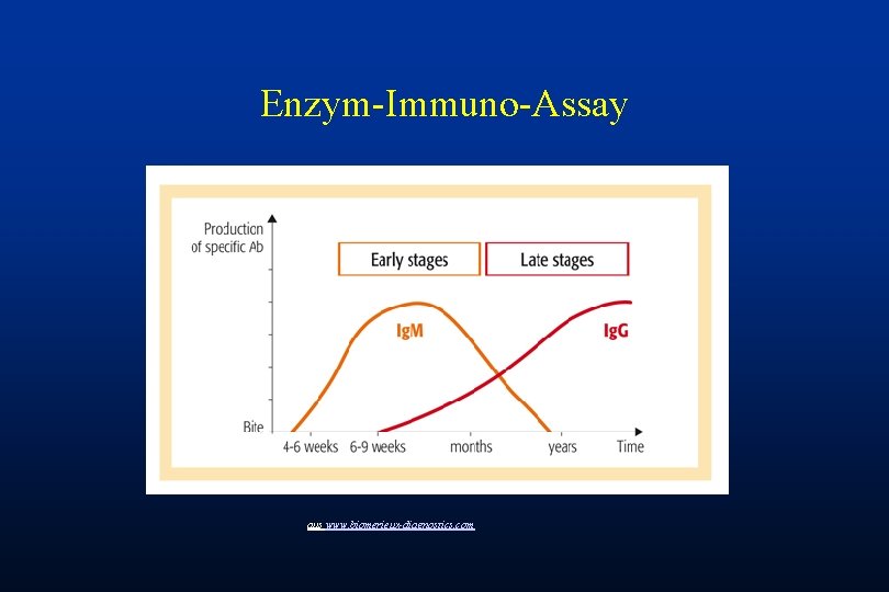 Enzym-Immuno-Assay aus www. biomerieux-diagnostics. com 