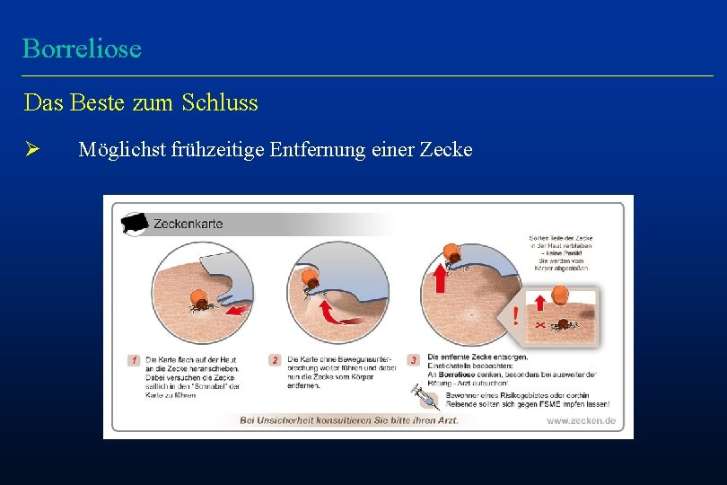 Borreliose Das Beste zum Schluss Ø Möglichst frühzeitige Entfernung einer Zecke 