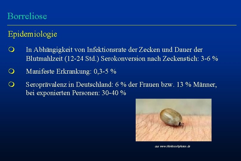 Borreliose Epidemiologie m In Abhängigkeit von Infektionsrate der Zecken und Dauer der Blutmahlzeit (12