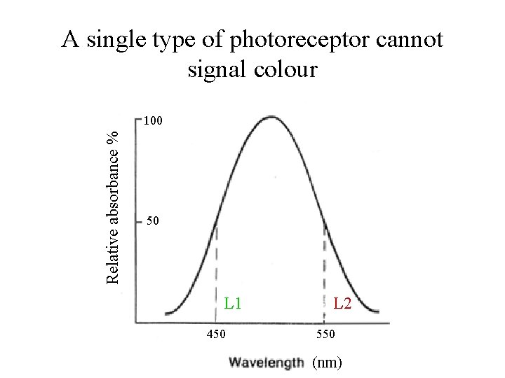 A single type of photoreceptor cannot signal colour Relative absorbance % 100 50 L