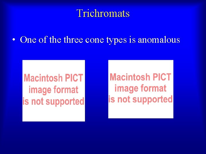 Trichromats • One of the three cone types is anomalous 