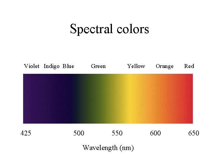 Spectral colors Violet Indigo Blue 425 Green 500 Yellow 550 Wavelength (nm) Orange 600