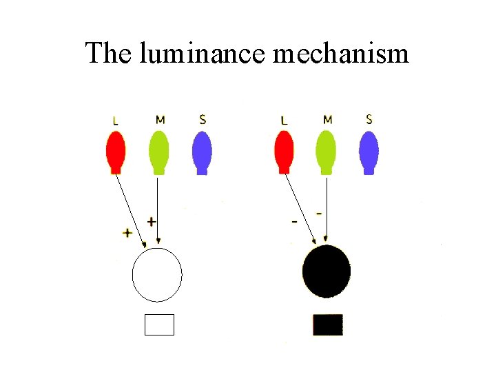 The luminance mechanism 