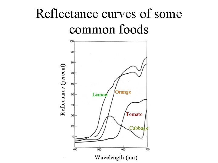 Reflectance (percent) Reflectance curves of some common foods Lemon Orange Tomato Cabbage Wavelength (nm)