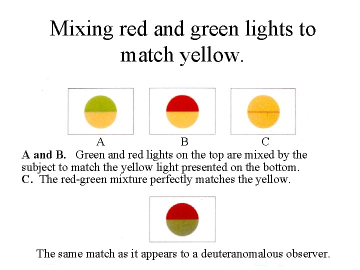 Mixing red and green lights to match yellow. A B C A and B.