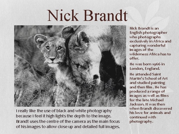 Nick Brandt I really like the use of black and white photography because I Nick Brandt I really like the use of black and white photography because I