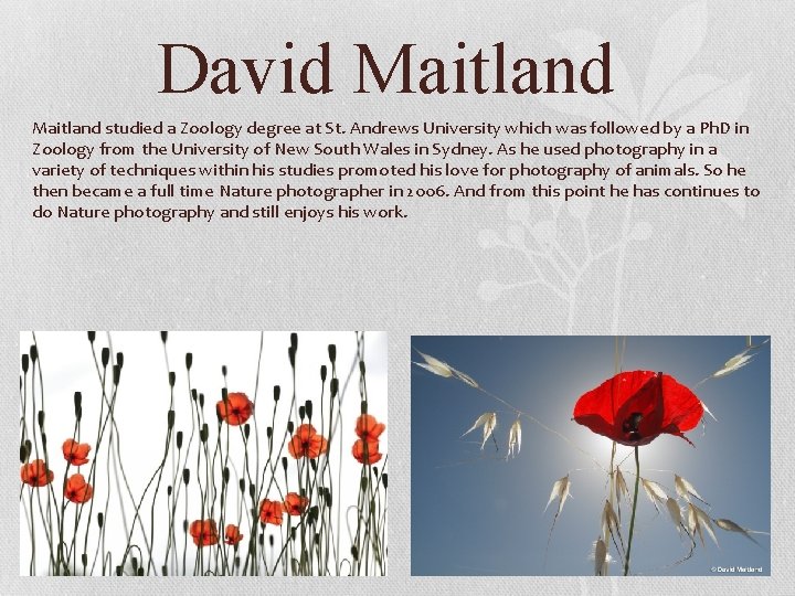 David Maitland studied a Zoology degree at St. Andrews University which was followed by David Maitland studied a Zoology degree at St. Andrews University which was followed by