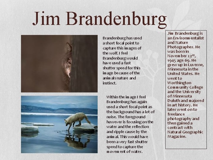 Jim Brandenburg has used a short focal point to capture this images of the