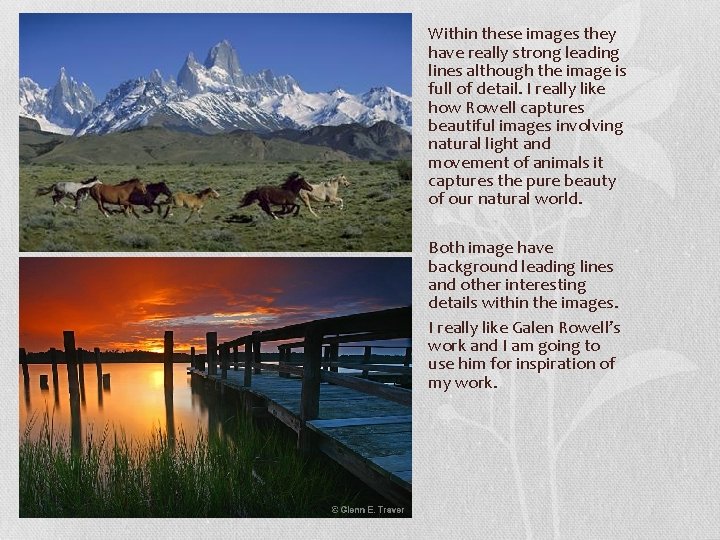 Within these images they have really strong leading lines although the image is full Within these images they have really strong leading lines although the image is full
