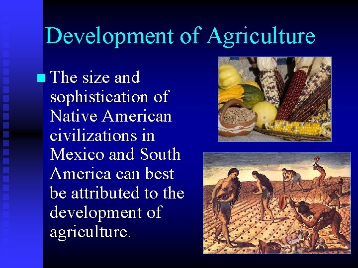 Development of Agriculture n The size and sophistication of Native American civilizations in Mexico