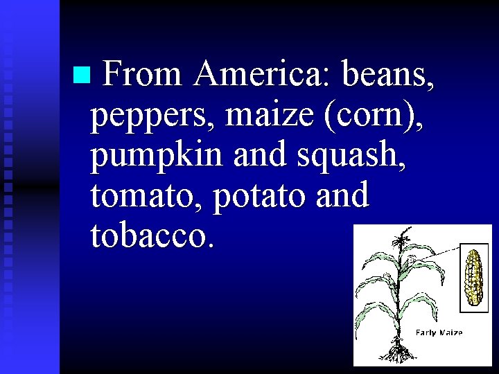 n From America: beans, peppers, maize (corn), pumpkin and squash, tomato, potato and tobacco.