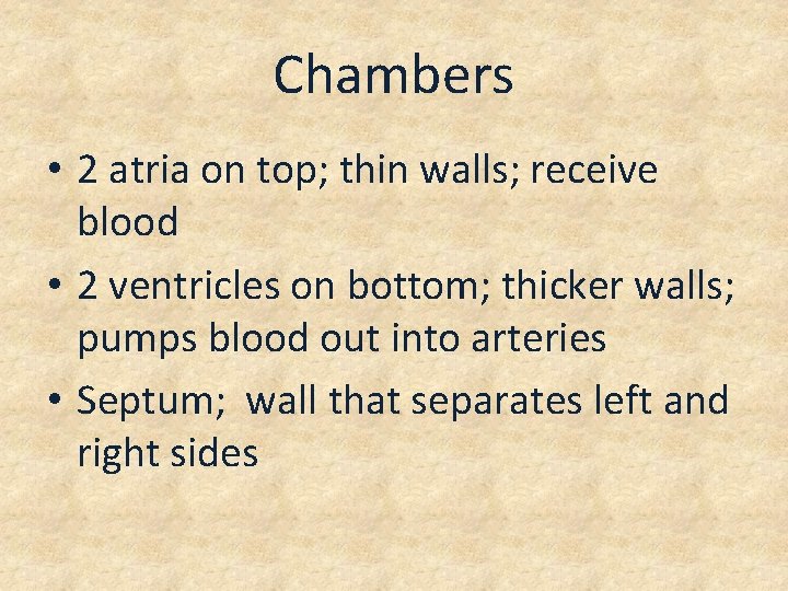 Chambers • 2 atria on top; thin walls; receive blood • 2 ventricles on