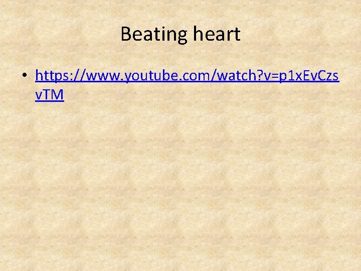 Beating heart • https: //www. youtube. com/watch? v=p 1 x. Ev. Czs v. TM