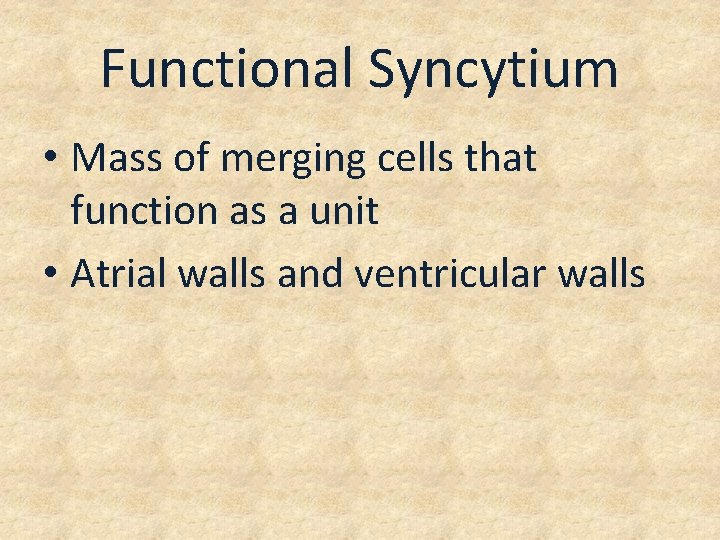 Functional Syncytium • Mass of merging cells that function as a unit • Atrial