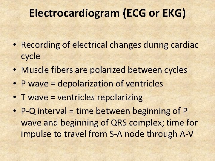 Electrocardiogram (ECG or EKG) • Recording of electrical changes during cardiac cycle • Muscle