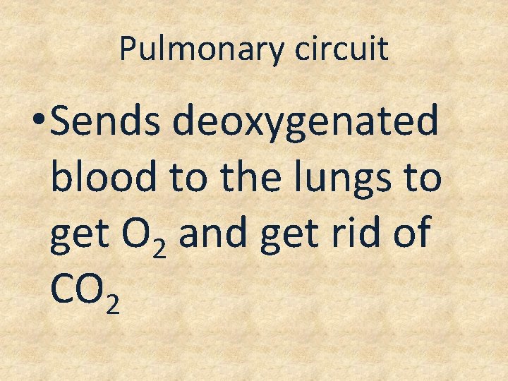 Pulmonary circuit • Sends deoxygenated blood to the lungs to get O 2 and