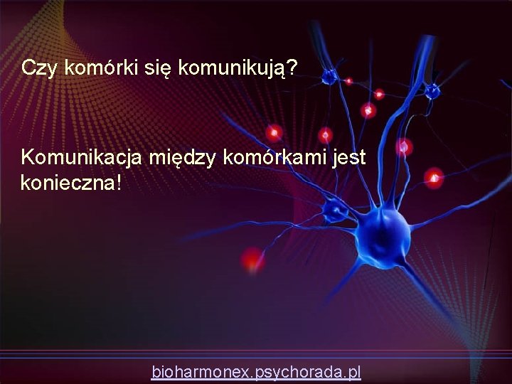 Czy komórki się komunikują? Komunikacja między komórkami jest konieczna! bioharmonex. psychorada. pl 