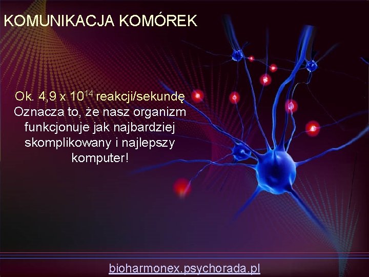 KOMUNIKACJA KOMÓREK Ok. 4, 9 x 1014 reakcji/sekundę Oznacza to, że nasz organizm funkcjonuje