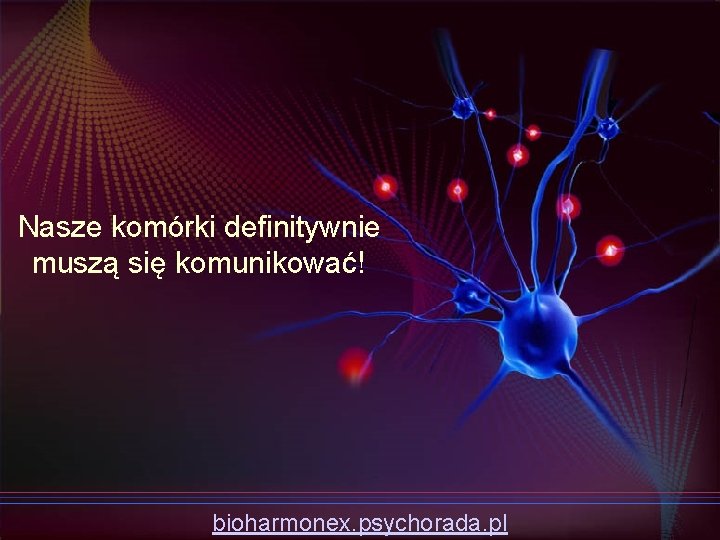 Nasze komórki definitywnie muszą się komunikować! bioharmonex. psychorada. pl 