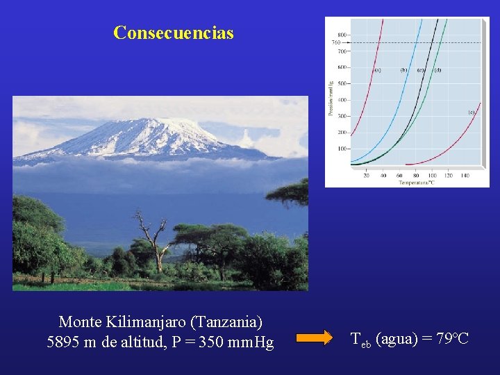 Consecuencias Monte Kilimanjaro (Tanzania) 5895 m de altitud, P = 350 mm. Hg Teb
