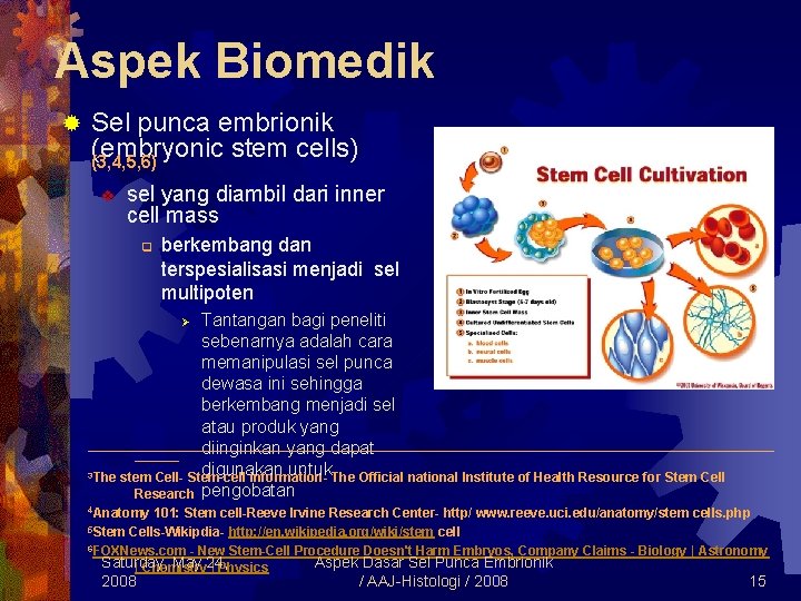 Aspek Biomedik ® Sel punca embrionik (embryonic stem cells) (3, 4, 5, 6) v