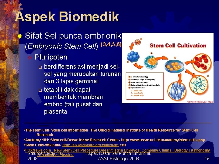 Aspek Biomedik ® Sifat Sel punca embrionik (Embryonic Stem Cell) (3, 4, 5, 6)