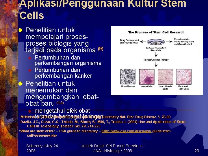Aplikasi/Penggunaan Kultur Stem Cells ® Penelitian untuk mempelajari proses biologis yang terjadi pada organisma