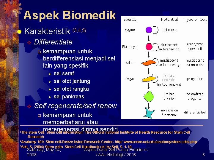 Aspek Biomedik ® Karakteristik v Differentiate q kemampuan untuk berdifferensiasi menjadi sel lain yang