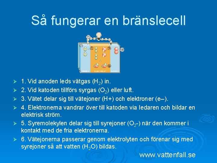 Så fungerar en bränslecell Ø Ø Ø 1. Vid anoden leds vätgas (H 2)