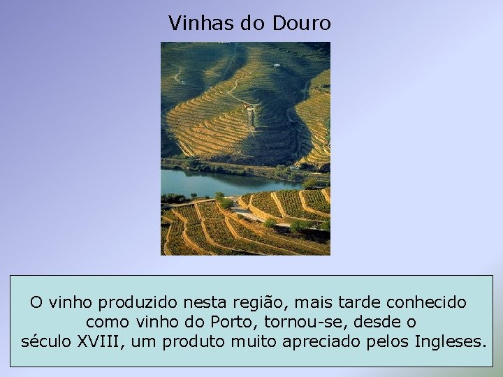 Vinhas do Douro O vinho produzido nesta região, mais tarde conhecido como vinho do