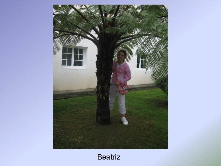 Beatriz 