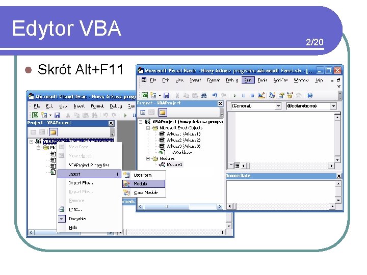 Edytor VBA l Skrót Alt+F 11 2/20 