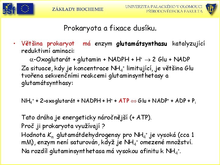 Prokaryota a fixace dusíku. • Většina prokaryot má enzym glutamátsynthasu katalyzující reduktivní aminaci: a-Oxoglutarát