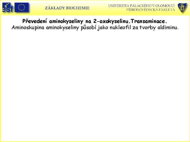 Převedení aminokyseliny na 2 -oxokyselinu. Transaminace. Aminoskupina aminokyseliny působí jako nukleofil za tvorby aldiminu.